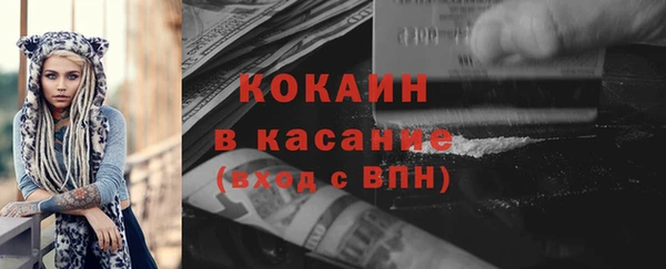 ПСИЛОЦИБИНОВЫЕ ГРИБЫ Елабуга