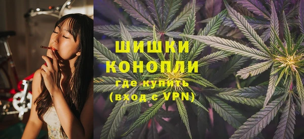дмт Заводоуковск