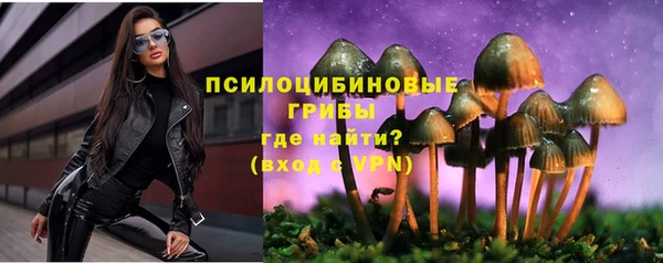 дмт Заводоуковск
