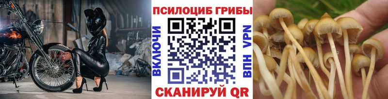 Псилоцибиновые грибы GOLDEN TEACHER  Кашин 